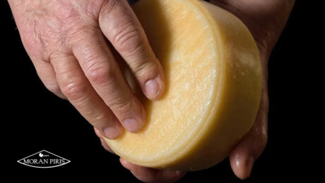 El arte de madurar quesos artesanalmente: la esencia de Quesos Morán Piris